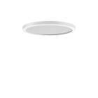 PERFORMANCE IN LIGHT - PRI3123868 FL R+ 333 RE 8/23 S/A 8TW WH9016 DT8 MP