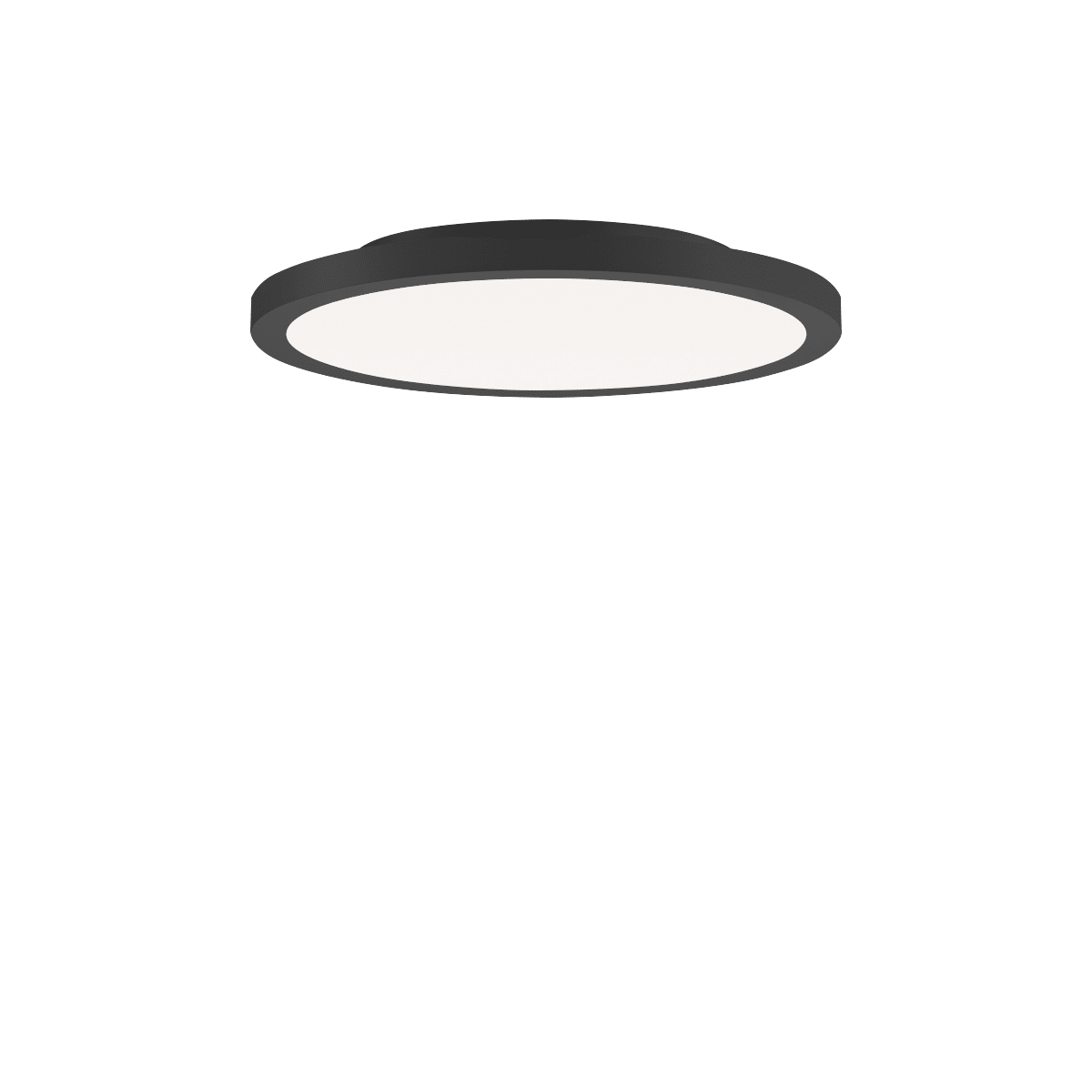 PERFORMANCE IN LIGHT - PRI3123871 FL R+ 333 SM 8/23 S/B 830 BK9005 OP