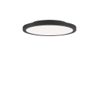 PERFORMANCE IN LIGHT - PRI3123871 FL R+ 333 SM 8/23 S/B 830 BK9005 OP