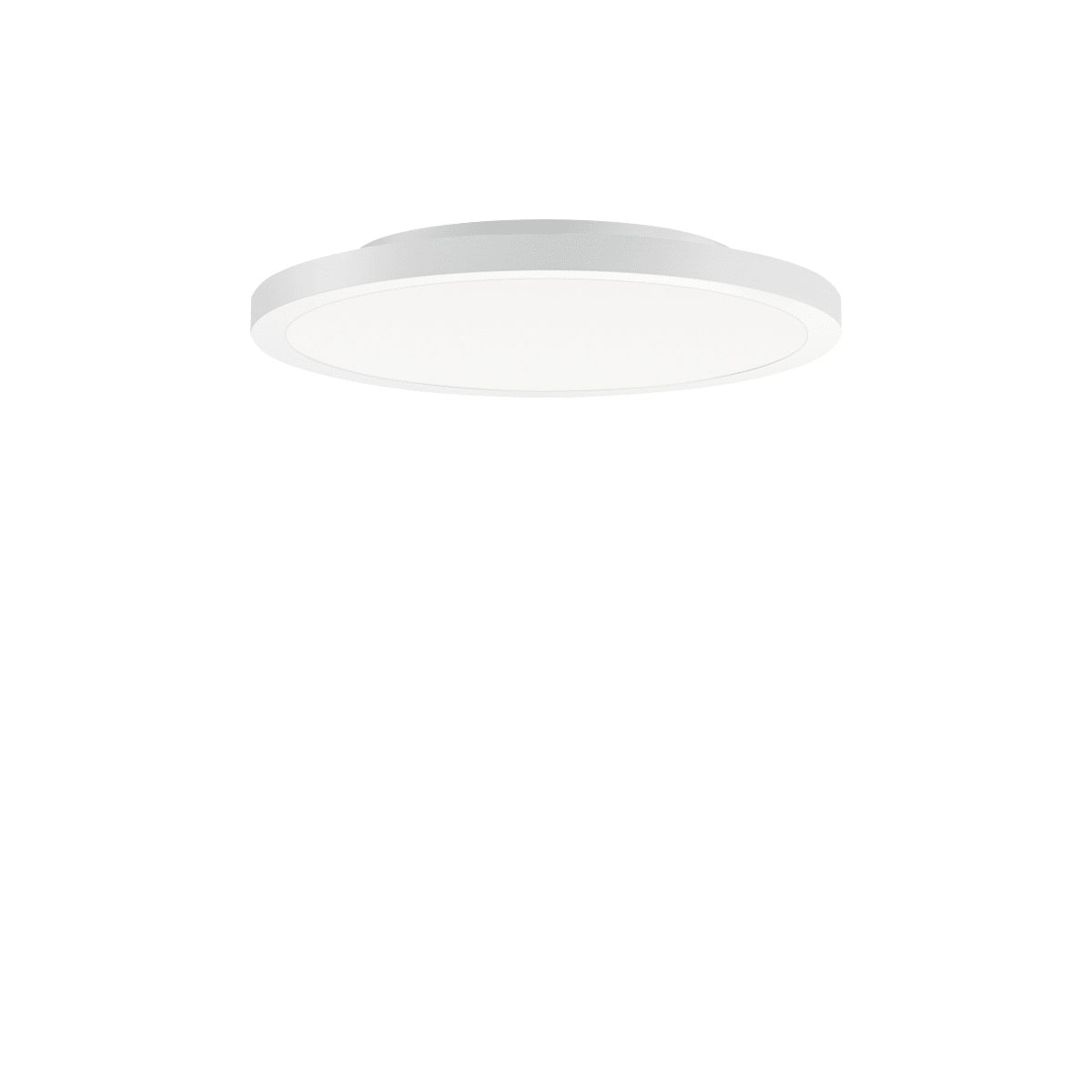 PERFORMANCE IN LIGHT - PRI3123887 FL R+ 333 SM 8/23 S/B 840 WH9016 DALI OP