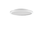PERFORMANCE IN LIGHT - PRI3123876 FL R+ 333 SM 8/23 S/B 830 WH9016 DALI MP