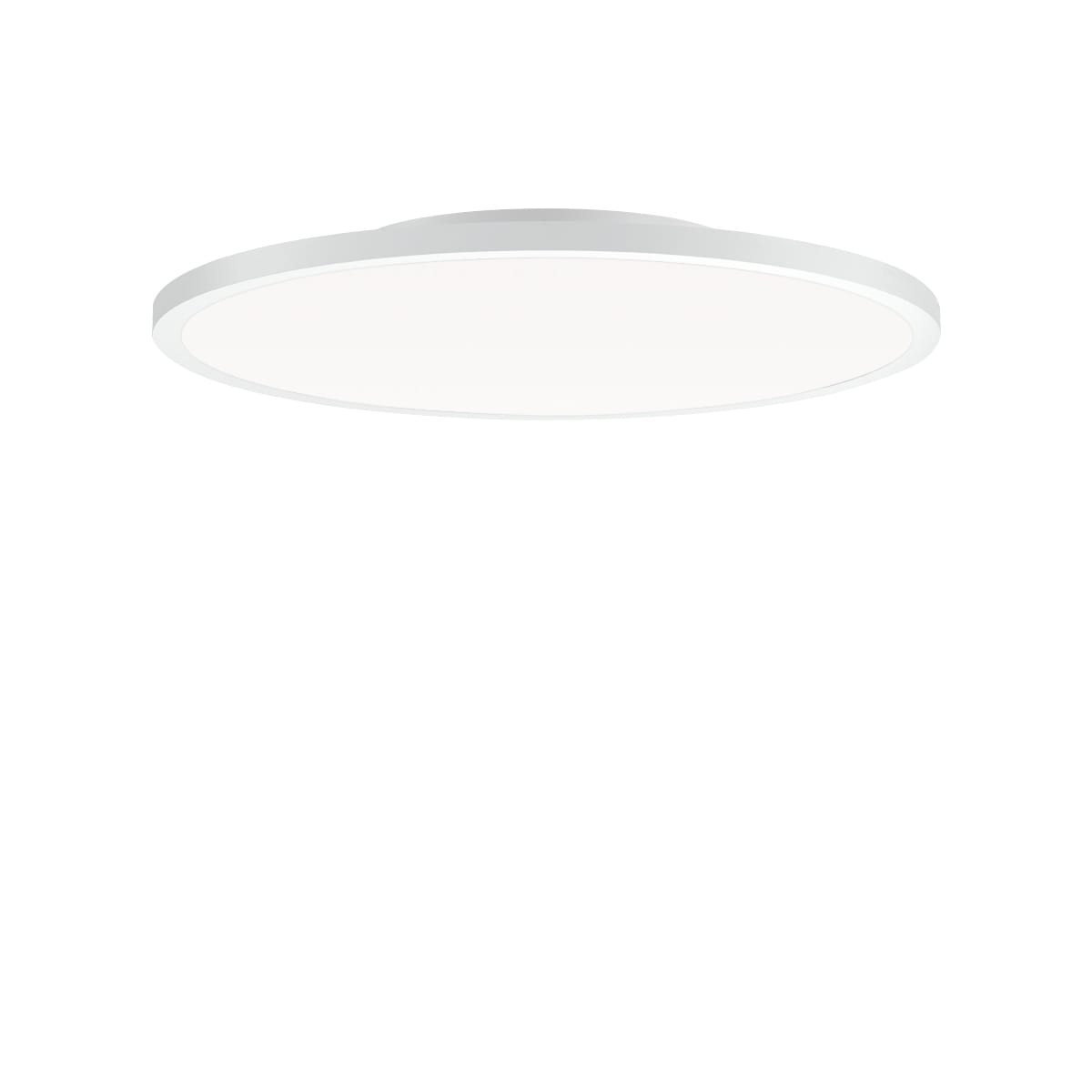 PERFORMANCE IN LIGHT - PRI3124031 FL R+ 555 SM 44 S/B 830 WH9016 OP