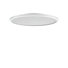 PERFORMANCE IN LIGHT - PRI3124030 FL R+ 555 SM 44 S/B 830 WH9016 MP