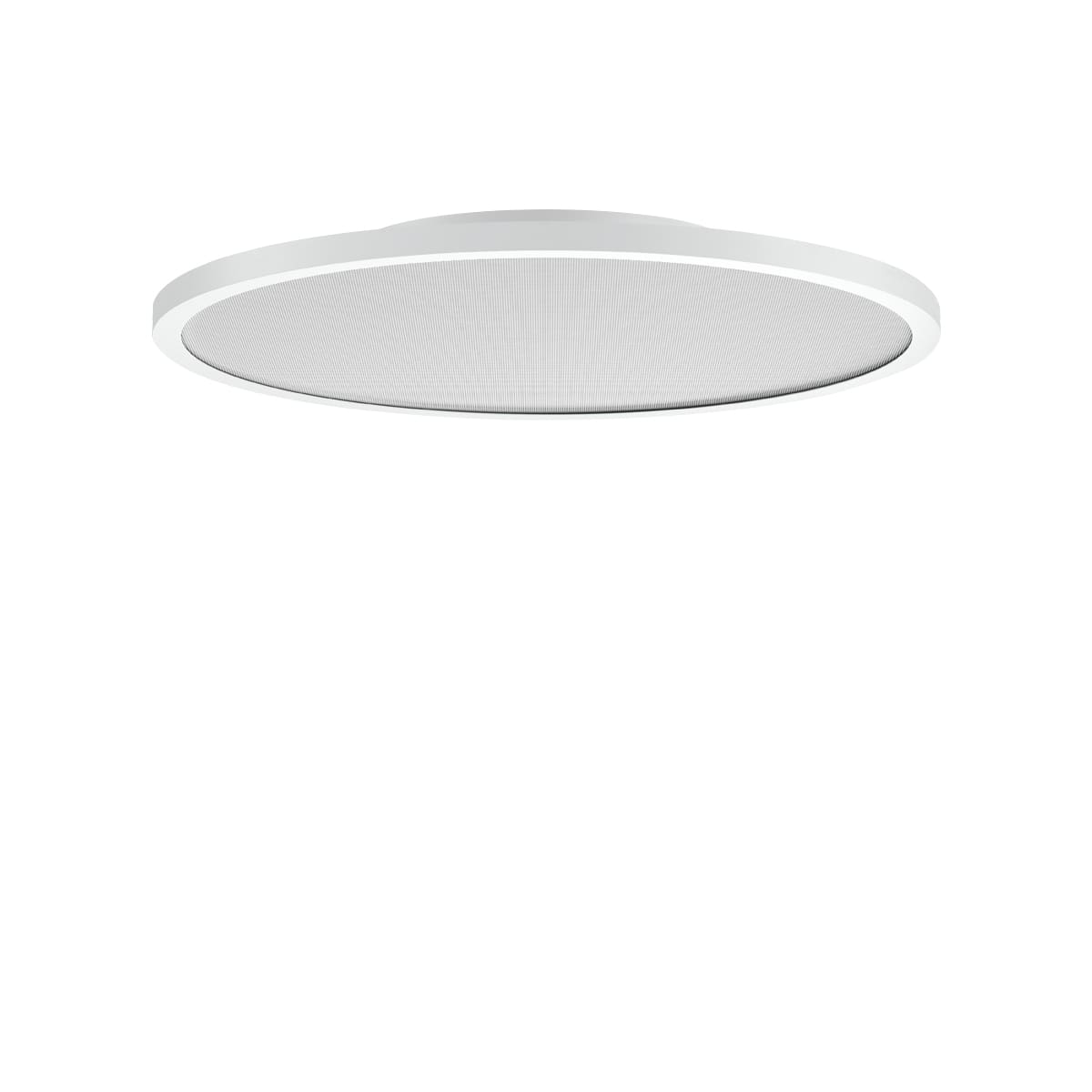 PERFORMANCE IN LIGHT - PRI3124040 FL R+ 555 SM 44 S/B 840 WH9016 MP