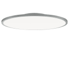 PERFORMANCE IN LIGHT - PRI3124169 FL R+ 777 SM 34 S/B 8TW GR9006 DT8 OP