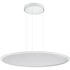 PERFORMANCE IN LIGHT - PRI8777261483310 FL R 777 PL 43 S/A 830 WH9016 MP