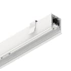 NOVALUX SRL - NOX108806.01 HERO C: 36W 3K 1680 BIA