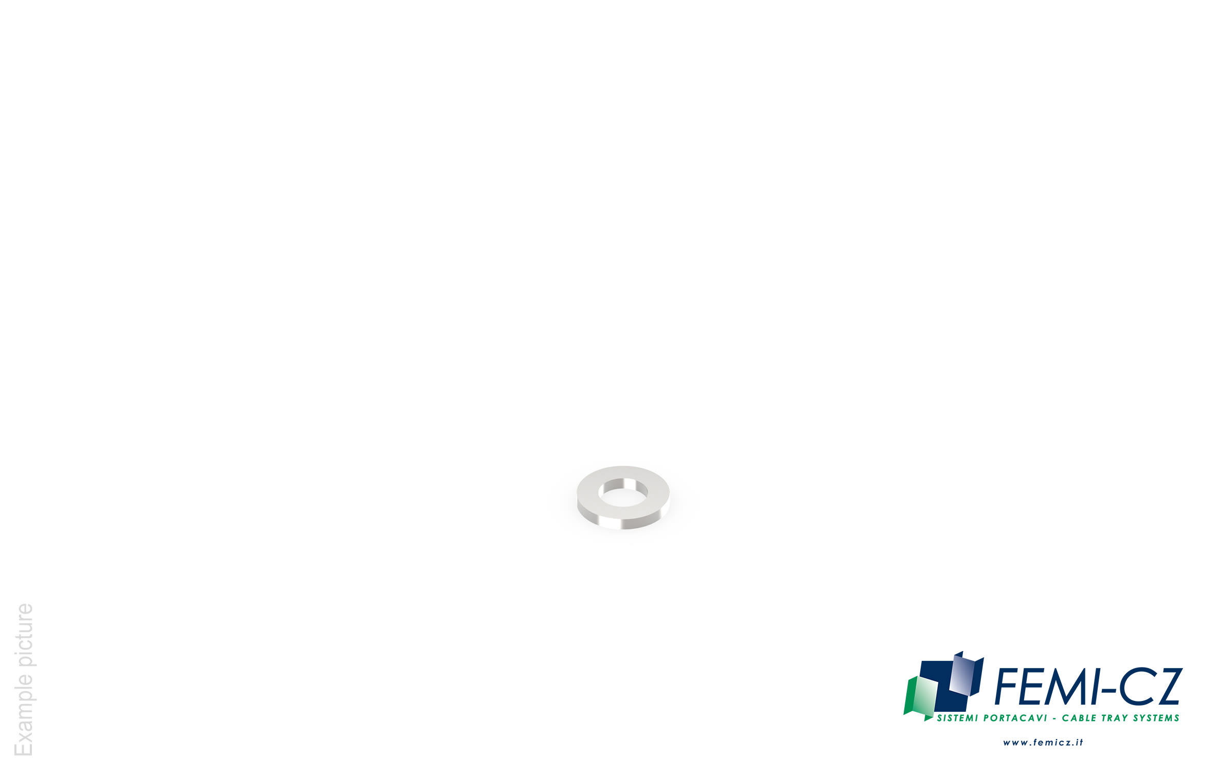 FEMI-CZ SPA - FCZD0I36S06X12J ROS.PIANA   D.6(12)  AISI 304    100PZ I