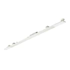 SIGNIFY ITALY SPA - PHA44056299 Maxos Universal, 36 W, L1517 mm, 5700 lm, 3000 K, Fascio largo, Testurizzata, Bianco, IP20
