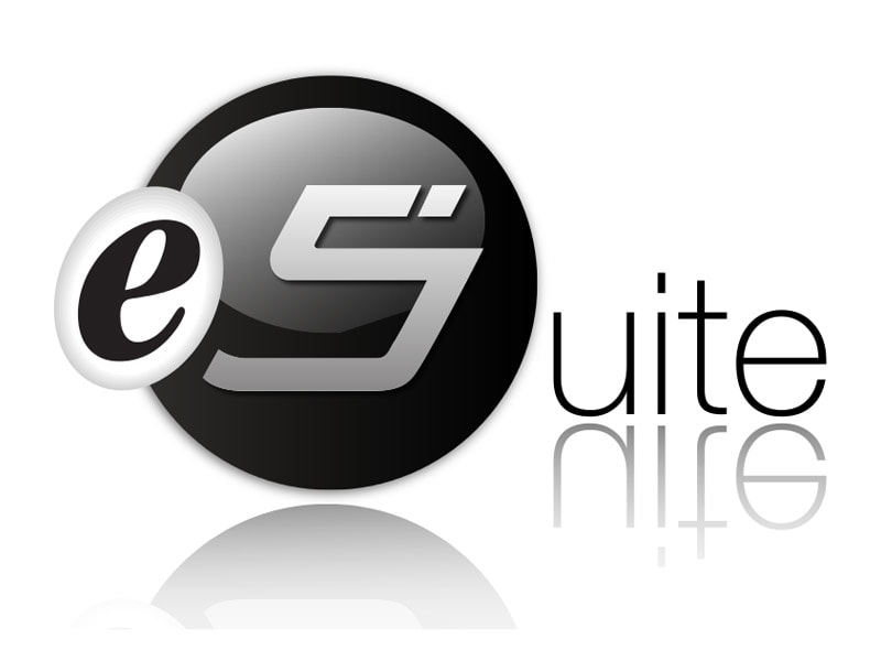 EELECTRON SPA - EEXSW01F10ACS LICENZA ESUITE PER N. ACCESSI