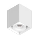 NOVALUX SRL - NOX108002.01 OWL QDR: 1X8W F36 BI 3K CRI90