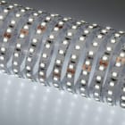 NOBILE ITALIA - NOB70002/2700K STRIP 5M 4,8W/M 120LED/M 2,7K IP20 24V