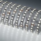NOBILE ITALIA - NOB70042/90/2700K STRIP 5M 7W/M 140LED/M 2,7K CRI90 IP20 2