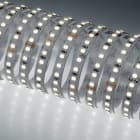 NOBILE ITALIA - NOB70042/90/C STRIP 5M 7W/M 140LED/M 3K CRI90 IP20 24V