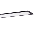 PERFORMANCE IN LIGHT - PRI3120883 SL713+ PL RL 48 S/C 830 BK9005 DALI MP