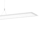 PERFORMANCE IN LIGHT - PRI3112421 SL713+ PL RXL 60 S/C 8TW WH9016 BTHCL MP