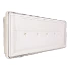 BEGHELLI - BEG4401 PRATICA IP42 300L 1.5/3 SATR