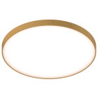 NOVALUX SPA - NOX113135.22 ROTO EVO: 101W 3K D.995 DA/P OP ORO