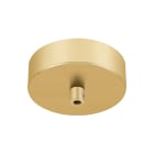 SLV ITALIA SRL - SLV1006377 FITU, ROSONE ORO