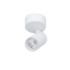NOVALUX SRL - NOX103103.01 SPYGLASS: PAR. 9W F36 3K CRI90 BI