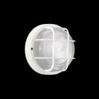 LOMBARDO - LOMLB46121 TARTARUGA TO 200 CON GABBIA E27 75W BIA