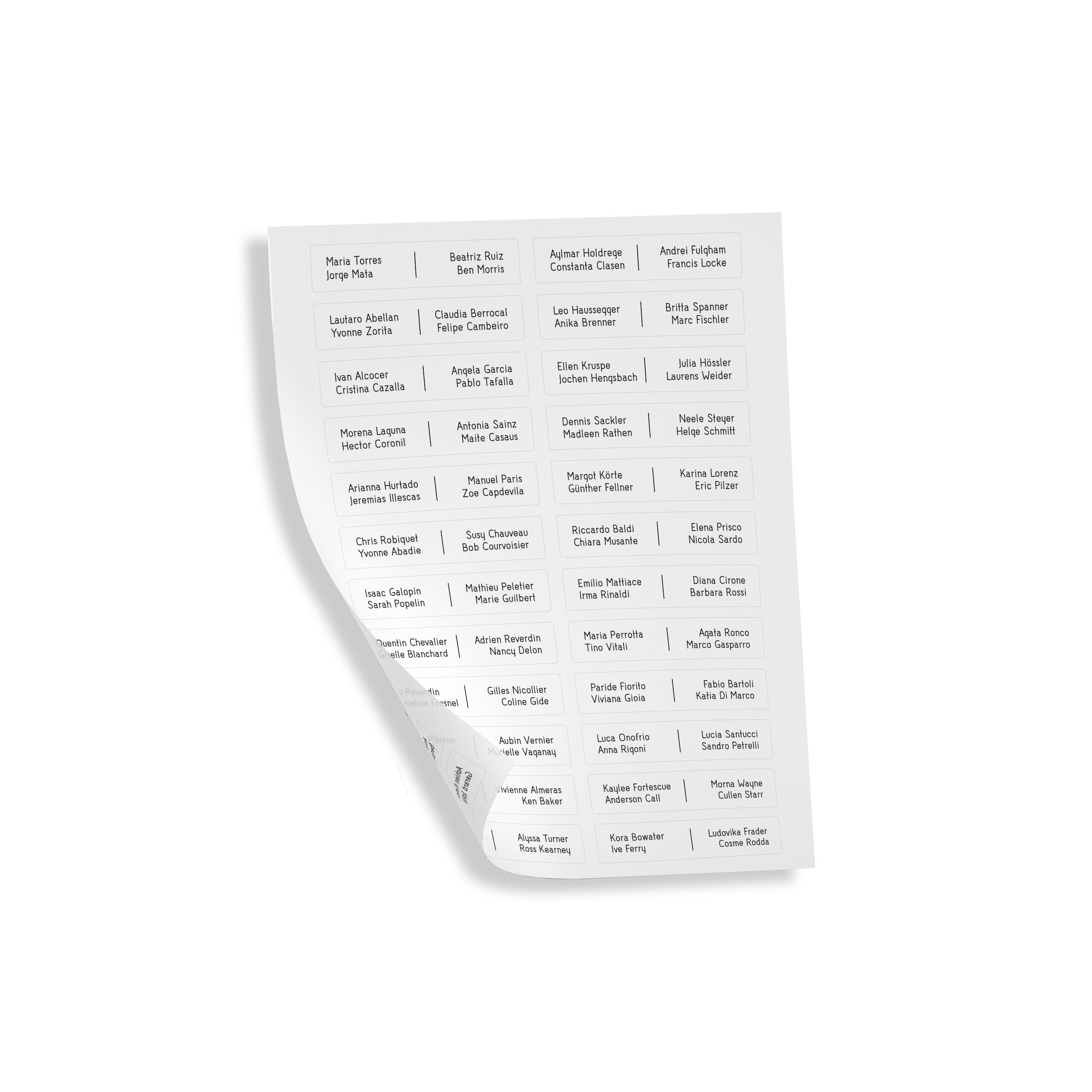 COMELIT GROUP SPA - COEUT9110 FOGLI ETICHETTE CARTELLINI PORTANOMI ULT