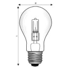 WIMEX - WIM4254106 AL.E27 55X98 240V 52W GLS CH-