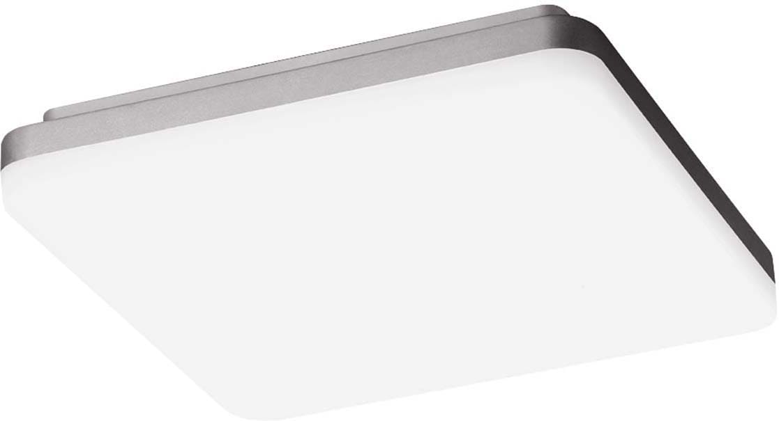 PERFORMANCE IN LIGHT - PRI3105560 WL390 WLQ 38/29 S/A 830/40 GR94 OP